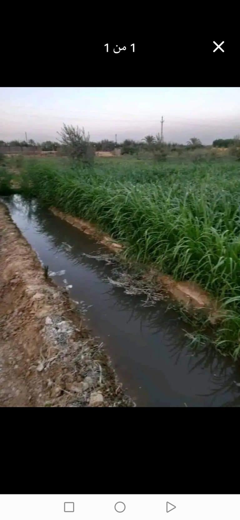 مزرعة للبيـــــع 10 فدان بتروي ري غمررر ري براحه