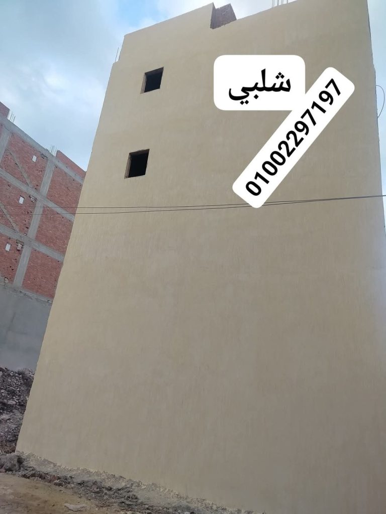 منزل للبيع في طلخا
