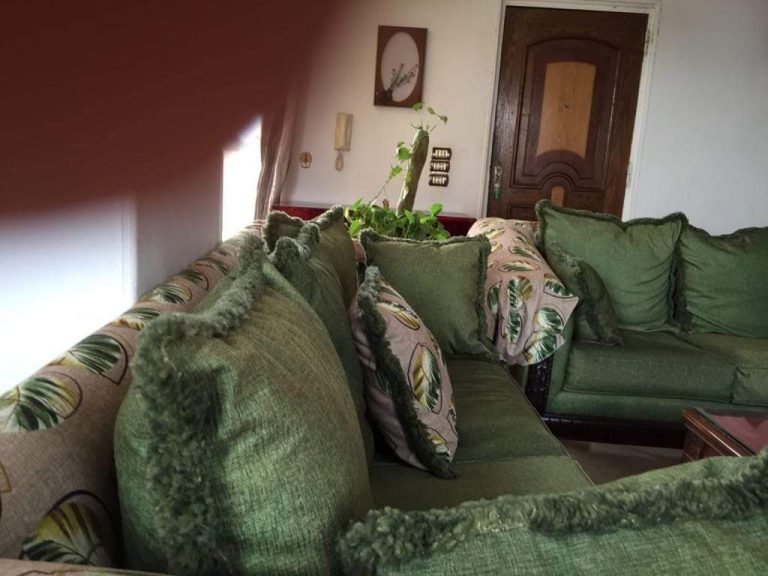 شقه مفروش مكيف بشارع 302بالمعادى الجديده