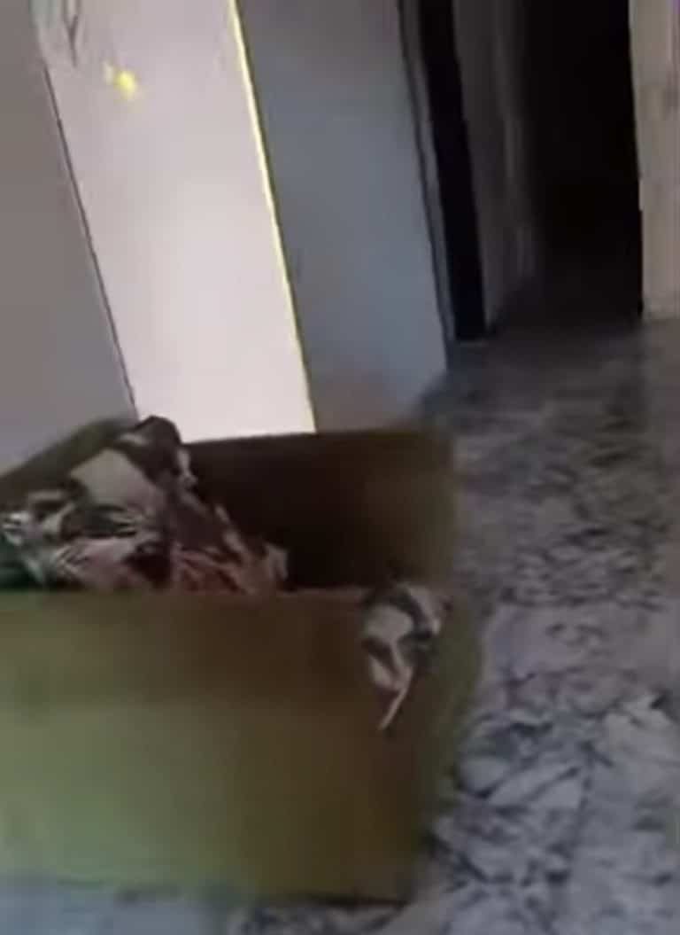 شقة للتمليك علي طومانباي الرئيسي بجانب كنيسة العذراء