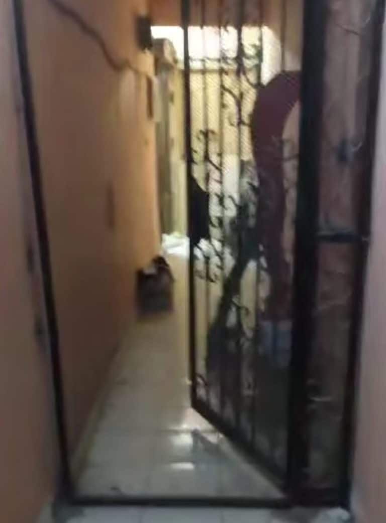 شقه للبيع 120متردور 11برج12دوراسانسير 3غرف ورسبشن