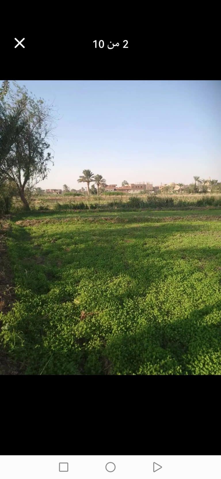 فدان للبيع مسجله نهائي وحيازه زراعيه وللايجار