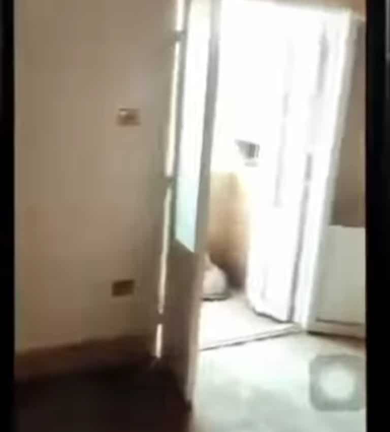 للبيع شقة100 رخيصةمصر الجديده خلف كنيسه البازيليك