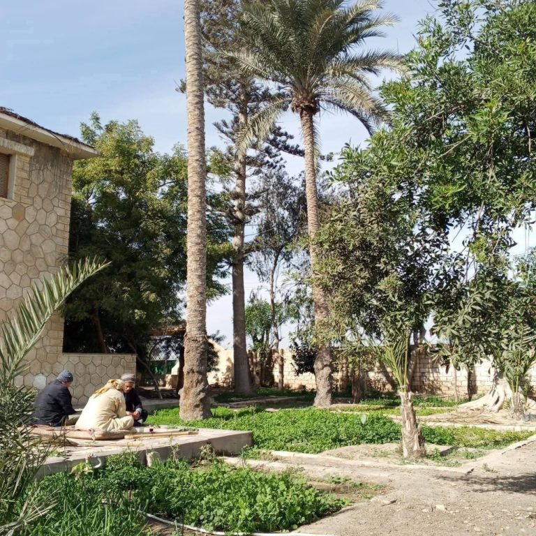 معانا قطعه ممتازه للبيع استثماريه وادي النطرون